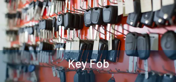  Key Fob 